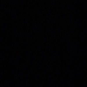 Meet your Posher, Rodney